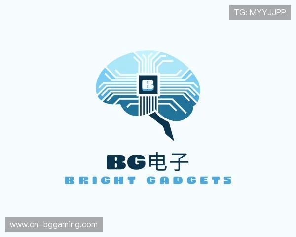 解读bg电子管理